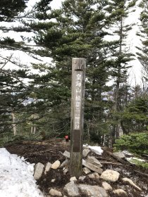 写真 2019-04-29 9 33